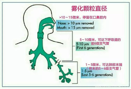 微纳颗粒